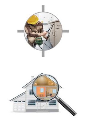 pest control in lahore