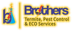 logo-Termite-Treatment-Pest-Removal-Fumigation-Spray-Water-Tank-Cleaning-Services-Household-Corporate-Area-Cleaning-Water-Pumping-Water -Proofing-Services Household-Pesticide-Trading-Rodent Control -Mosquito-Fly-Removal-Other-Storage-Tank-Cleaning-Termite-Pest-control-disinfecting-fumigation-spray F-fogging-brothers-termite-deemak-demak-pest-controlدیمک-کیڑےمکوڑے-کھٹمل-لال-بیگ-کاکروچ-ڈینگی-ملیریا-مچھر-سپرے-فوگنگ