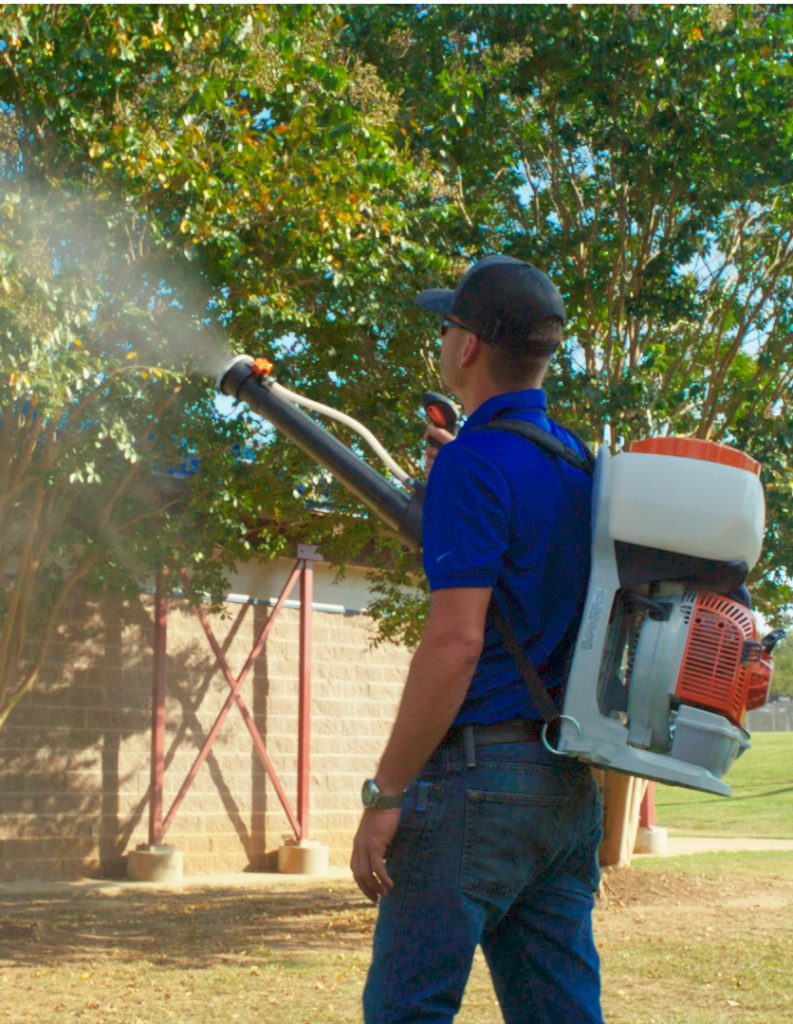 spray pest control fumigation