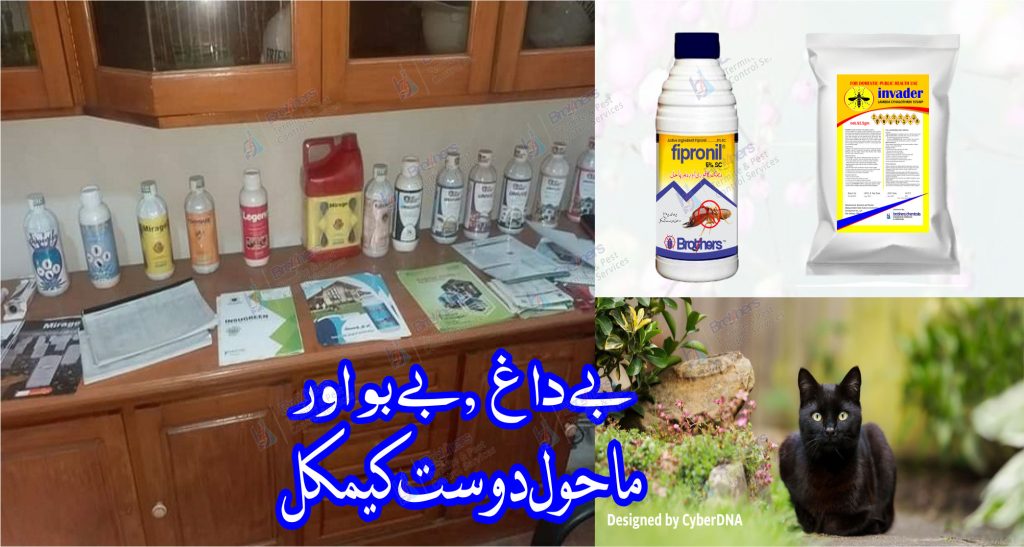 best-cheap-and-budget-friendly-household-pesticides-and-chemicals-in-lahore-for-sale