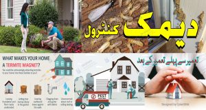 termite-pest-deemak control-and-eco-services-water-tank-cleaning-services-lahore