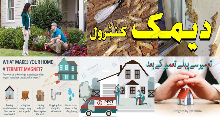 termite-pest-deemak control-and-eco-services-water-tank-cleaning-services-lahore