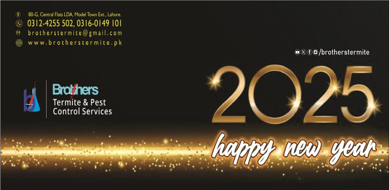 happy-new-year-2025-termite-treatment-in-lahore-pest-control-in-dha